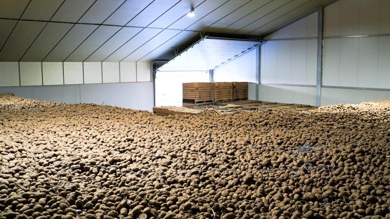 Sectororganisatie Belgapom meldt op 2 januari dat er door een gebrek aan transacties geen noteringen zijn op de vrije markt.