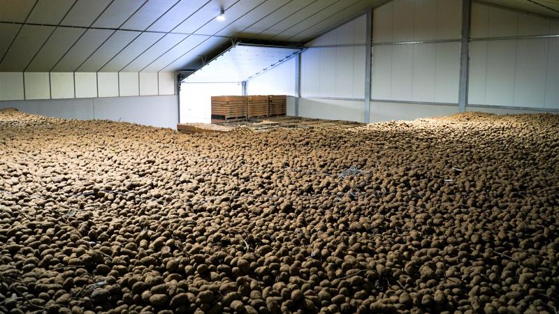 De Belgapomprijs wijzigde niet op 6 februari.