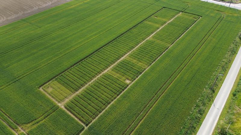 Overzicht van de  proefobjecten waar  biostimulanten  werden ingezet.