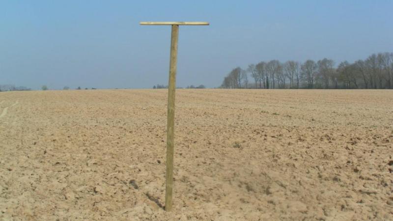 Het Bieteninstituut raadt aan zitstokken voor roofvogels te plaatsen.