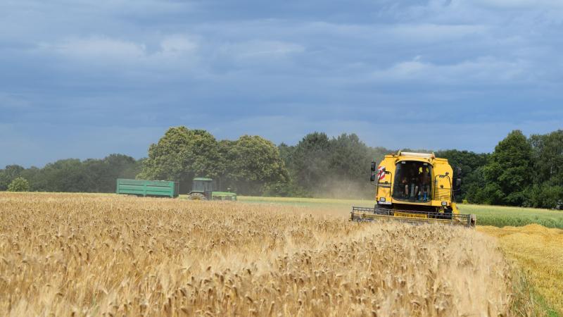 Het GLB heeft in Vlaanderen een veel groter herverdelend effect voor kleine bedrijven dan het Europese gemiddelde.