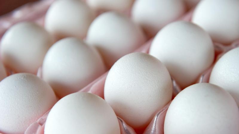 De eierprijs bereikte een nieuw record op 4 maart 2025.