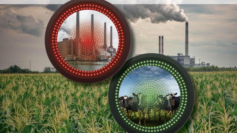 Bij de klimaatdoelen van Code Rood past gangbare veehouderij niet.
