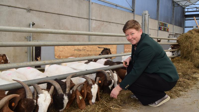 Ann Adriaensen van de Boerenhoeck in de vernieuwde vleesgeitenstal.