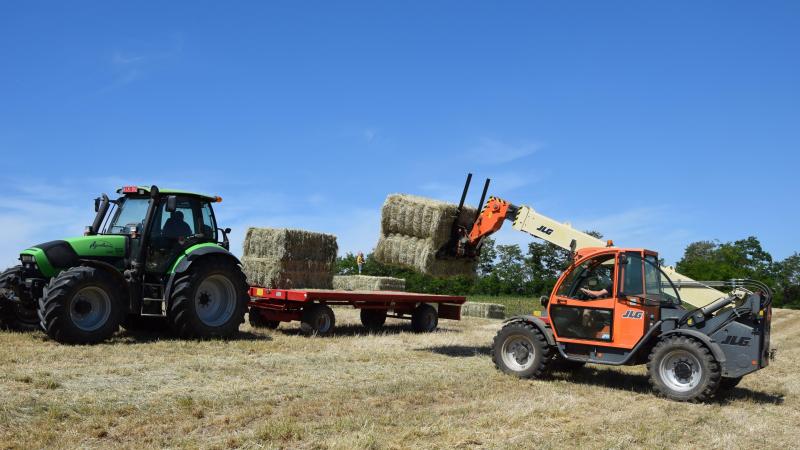 Een perceel kan je vrij van pacht houden door het gras gewoon te verkopen als product.