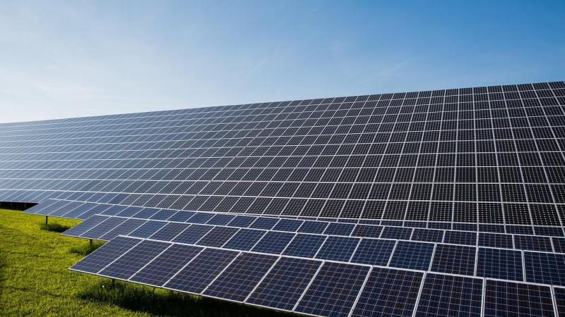 Projecten met zonnepanelen krijgen een ongunstig advies wanneer ze niet verenigbaar zijn met de agrarische bestemming van de percelen.
