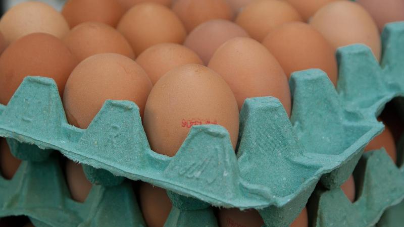 Door de uitbraak van de vogelgriep is er een schaarste aan eieren in de Verenigde Staten (VS), wat ook de prijzen opdreef.