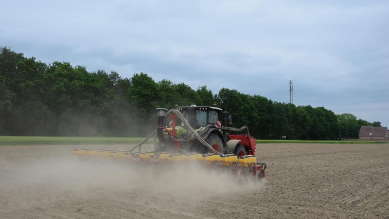 Met een droogtetolerante maïsvariëteit kan je,  zeker op percelen die droogtegevoelig zijn, een  ‘verzekering’ inbouwen.