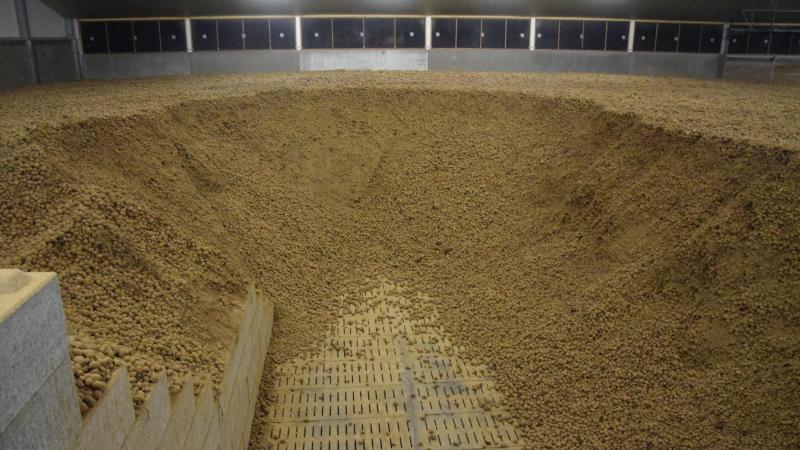 De Belgapomnotering bleef ongewijzigd op 28 maart.