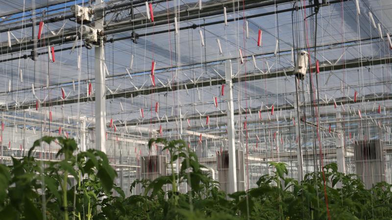 Beide praktijkcentra werken al geruime tijd constructief samen in projecten als Life Aclima en Energlik. Ook zijn er gezamenlijke technische comités binnen vruchtgroenten.