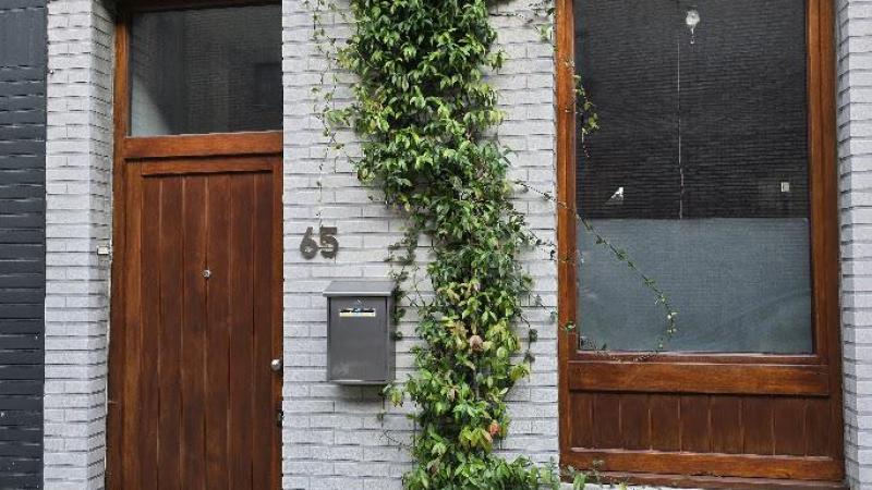 Het verwijderen van één tegel volstaat om het een klimplant – hier de groenblijvende Toscaanse jasmijn – naar de zin te maken.