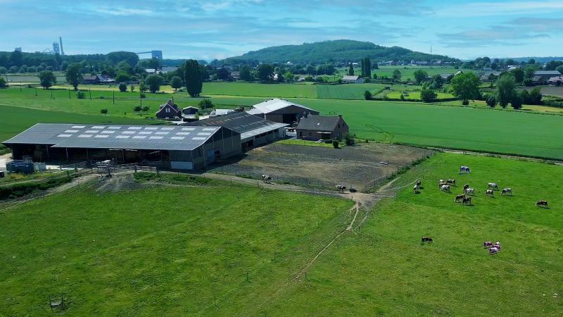 Het Interregproject AgriClimate wil de akkerbouw- en rundveesector toekomstbestendiger en klimaatvriendelijker maken.