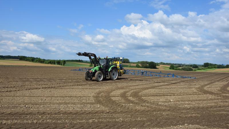 Het is belangrijk om snel te anticiperen met de onkruidbestrijding in bieten.