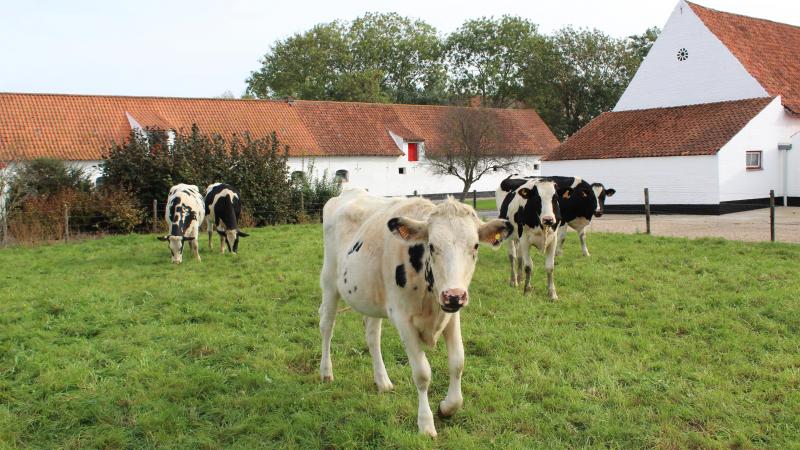We willen beweiden werkbaar maken, want daar heb ik ook wel een aantal zorgen rond gehoord die bij mij de wenkbrauwen deden fronsen”, zegt minister Brouns.