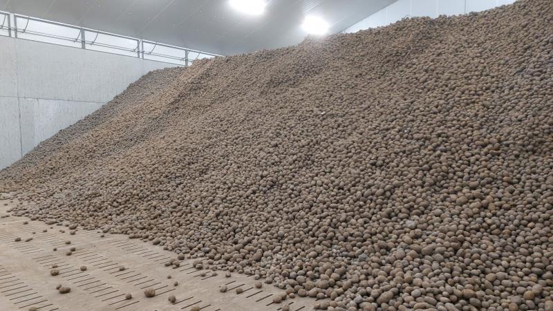 Op 1 april lagen er nog 1,82 miljoen ton aardappelen in voorraad in ons land.