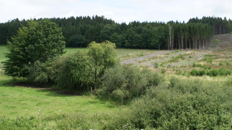 Het voorkooprecht wordt van de pachter ontnomen als het pachtgoed wordt aangekocht door een openbare verpachter met het oog op bebossing of opname in een natuurbeheerplan binnen 3 jaar.