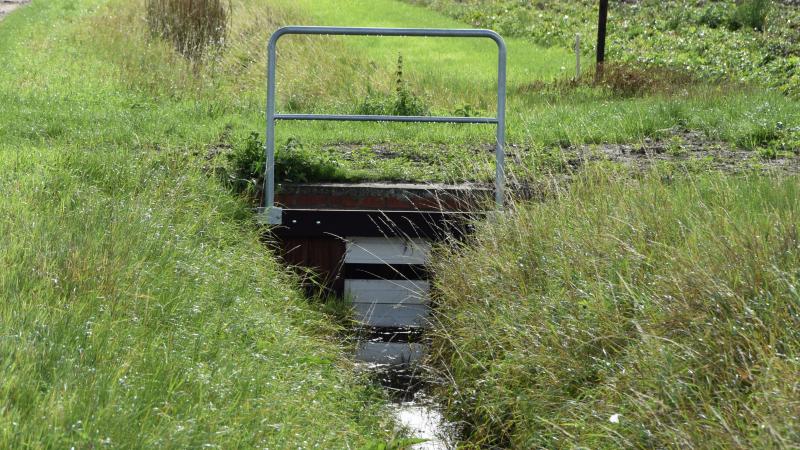 Water vasthouden kan bijvoorbeeld door kleine stuwen op te trekken om het waterpeil in waterlopen of perceelsgrachten op niveau te houden.