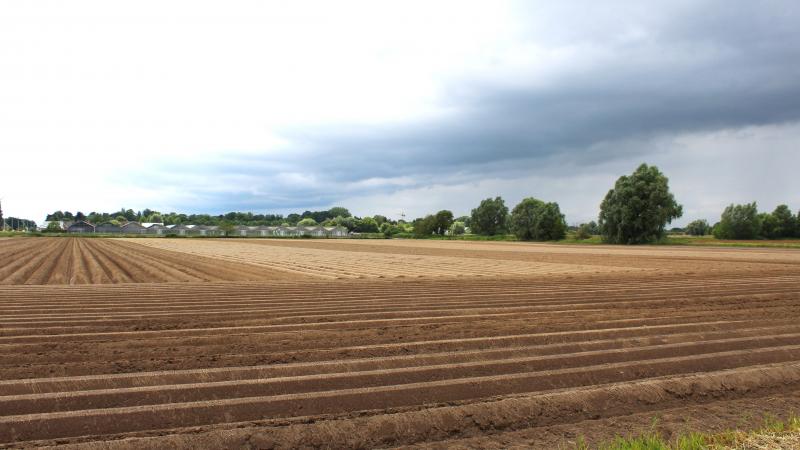 Na de omstreden verkoop van 450 ha landbouwgrond aan een vennootschap gelinkt aan Fernand Huts, wil Gent inzetten op een strategisch pachtbeleid voor haar resterende landbouwgronden.
