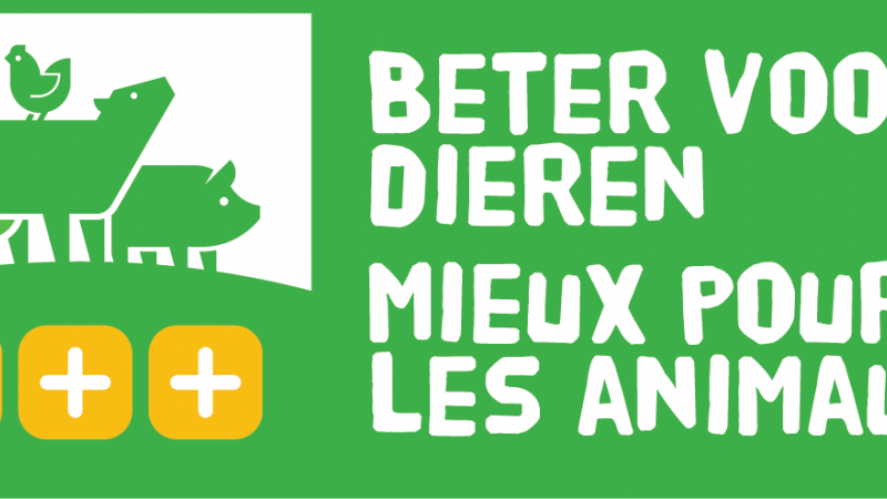 Dierenwelzijn-Logo-clean-3Plus-RGB-transparant