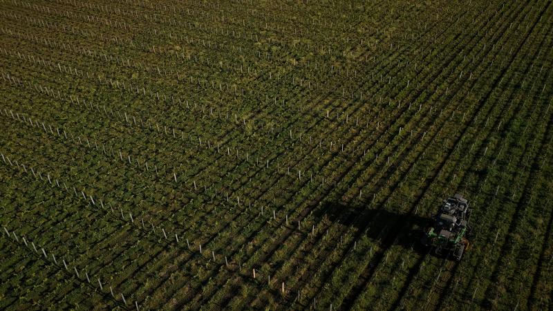 Nature & Progrès en PAN Europe roepen autoriteiten op om snel actie te ondernemen tegen TFA-vervuiling door alle pesticiden die PFAS bevatten te verbieden.