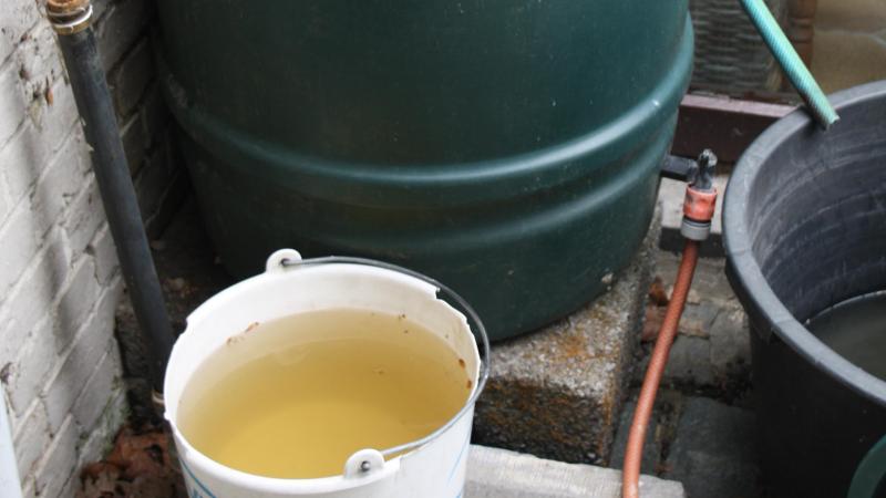 Bij dit veelgebruikte opvangsysteem van hemelwater bij hobbypaardenhouders is het water in de emmer – opgevangen na meerdere weken droogte – niet geschikt als drinkwater.