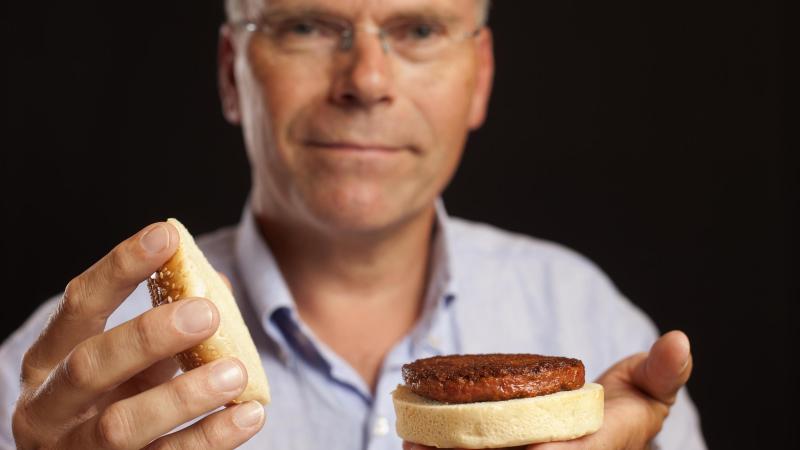 Mosa Meat presenteerde de eerste kweekvleesburger in 2013. In januari diende het Nederlands bedrijf voor het eerst een aanvraag in om producten met gecultiveerd rundervet te mogen verkopen in de EU.