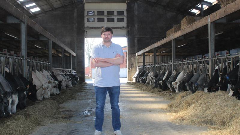 Bruno Vanhaelemeesch heeft nooit een ander runderras overwogen dan Belgisch witblauw.