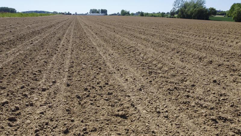 Ons land kreunt onder een lange droogte.