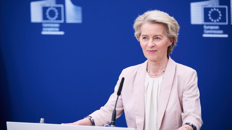 In juli stelt de Europese Commissie, onder leiding van voorzitter Ursula von der Leyen, haar definitieve plannen voor de volgende meerjarenbegroting van de EU voor.