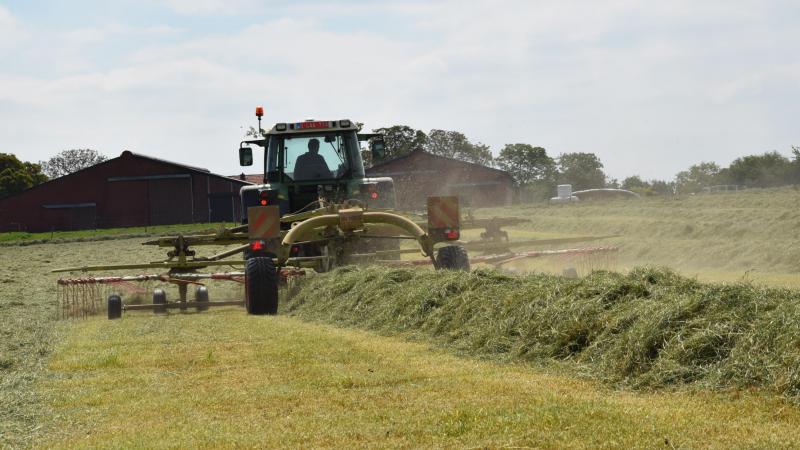 Gras wordt meestal gemaaid voordat er een bloem op komt en voordat de pollen kunnen ontstaan.