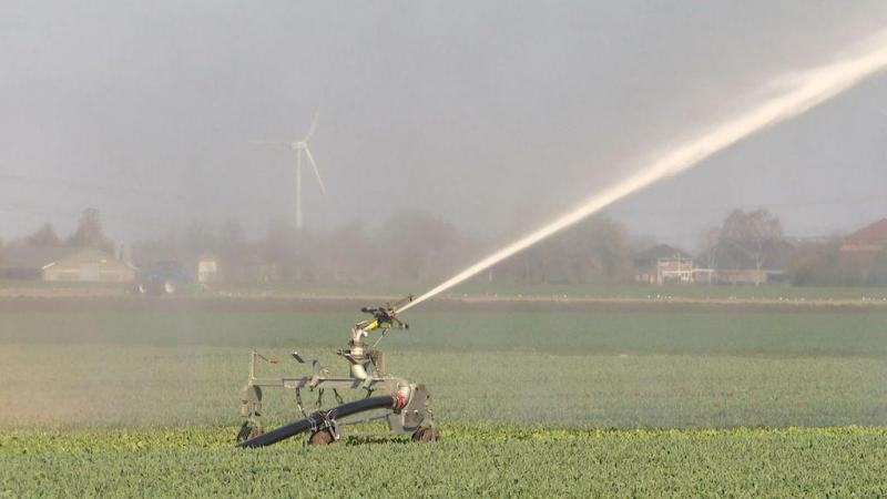 Land- en tuinbouwers hebben volgens Boerenbond prioritaire toegang tot water nodig.