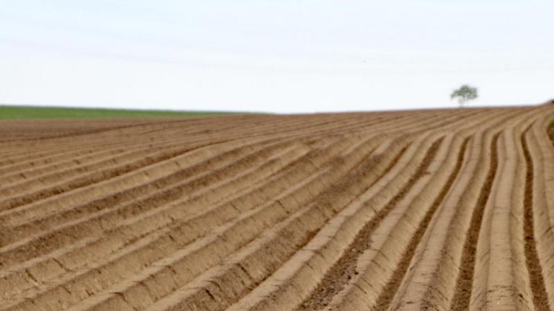 De nieuwe droogtemaatregelen moeten het droogvallen van de waterlopen tegengaan.
