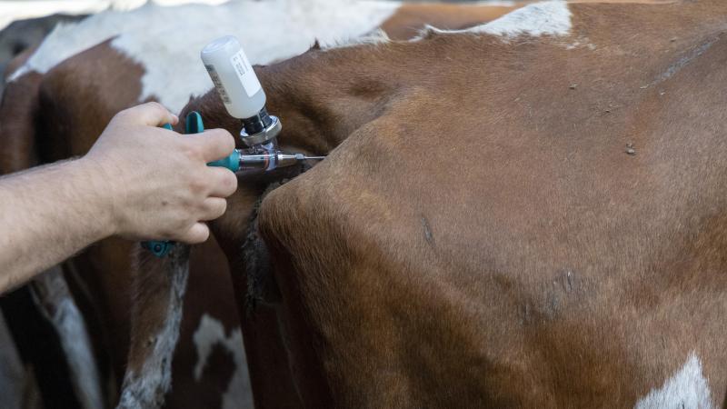 De verschuiving van de deadline van de vaccinatiecampagne roept veel vragen op in het veld.