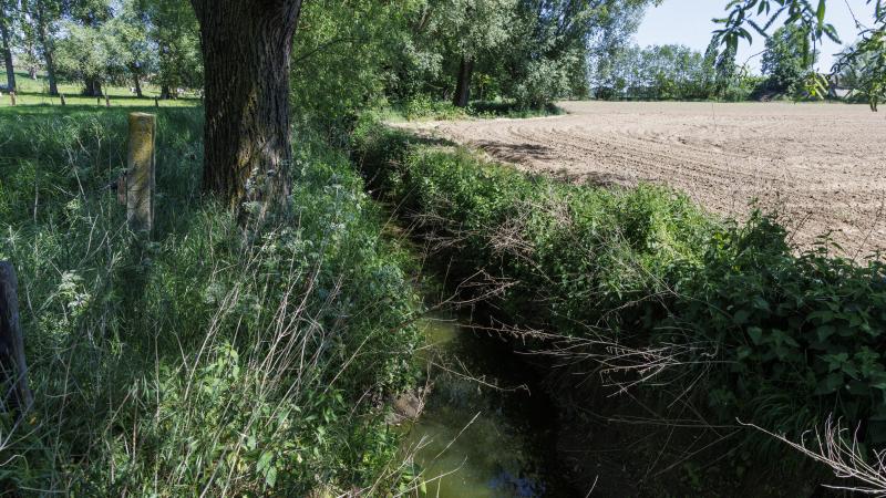 De voorbije dagen heeft het op heel wat plaatsen geregend, toch blijft code geel onveranderd van kracht.