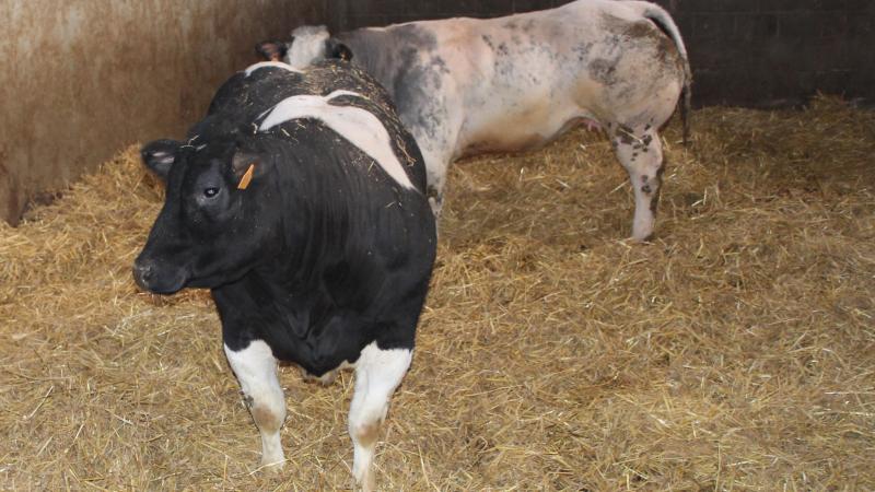 De Raad van State in Nederland bevestigt dat een rekenkundige ondergrens van 1 mol/ha/jaar daar juridisch mogelijk is.