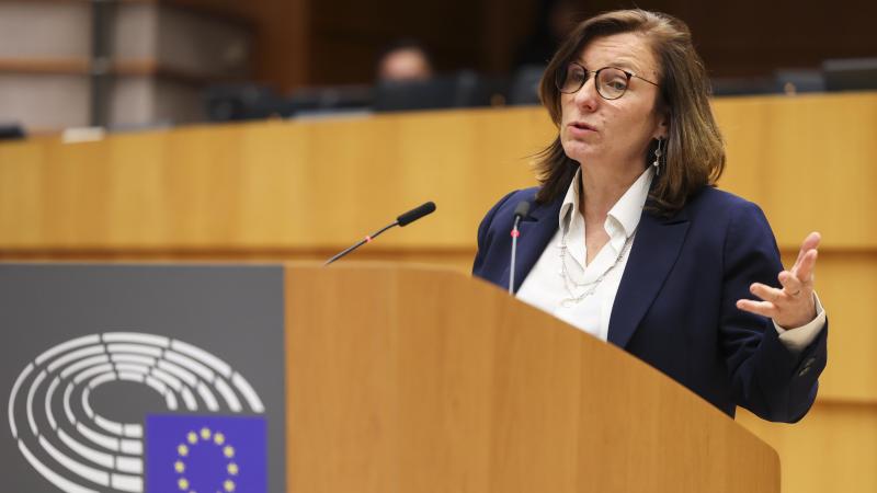 Tilly Metz (De Groenen), een van de rapporteurs  van de nieuwe dierentransportverordening.