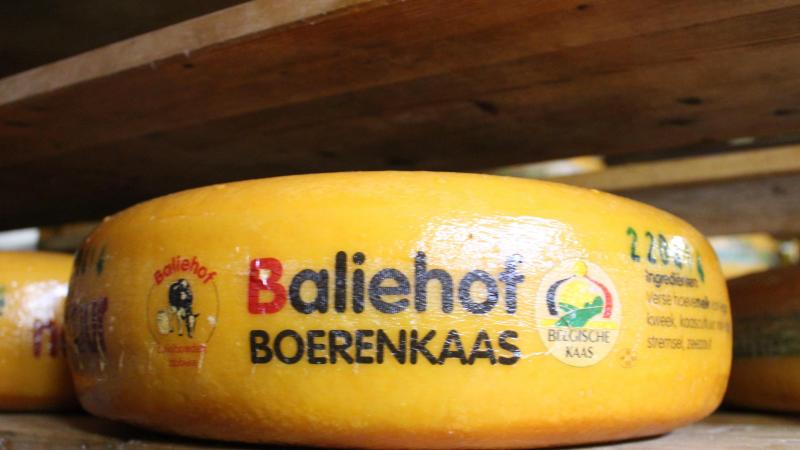 Vorig jaar werd ruim 137.400 ton kaas gemaakt in België.