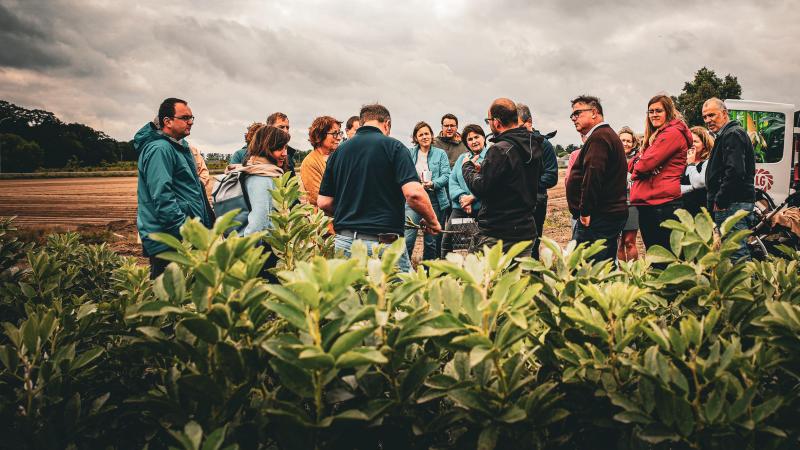 Een veldbezoek in Zwijnaarde op 14 juni 2024 informeerde landbouwers over de mogelijkheden van veldbonenteelt in de lokale voedselketen. Vertegenwoordigers van zadenleverancier Limagrain, maalderij Paniflower en een Gentse bakkerijketen deelden er hun ervaringen.