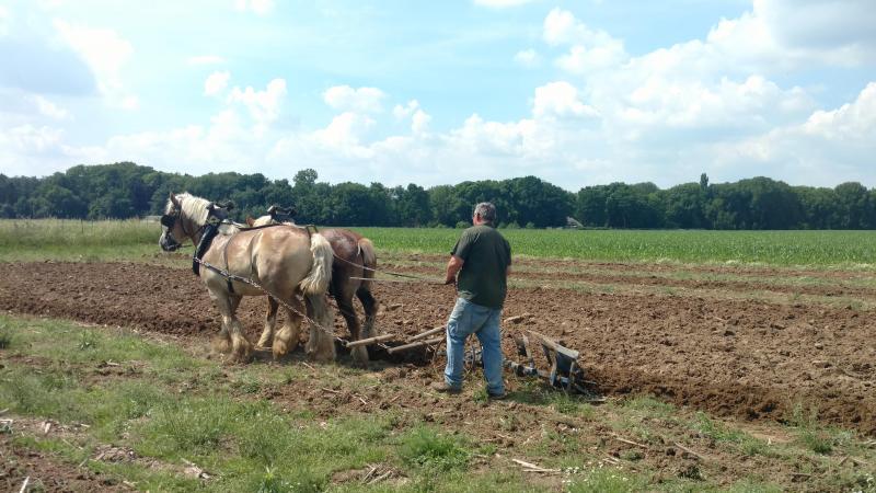 Vroeger duurde het 2,5 dagen om met paarden 1 ha land te ploegen, nu is dit slechts een kwestie van uren geworden.