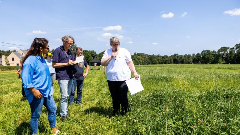 Op 17 juni vond er een persmoment plaats op 1 van de 3 Vlaamse proefvelden met kruidenrijk grasland.