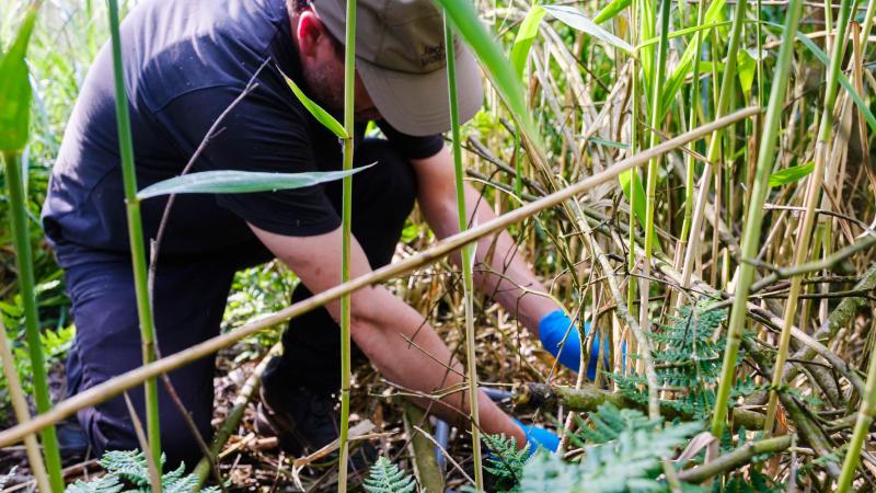 De onderzoekers zullen stalen nemen van onder meer oppervlakte- en grondwater, bodem, planten en dieren.
