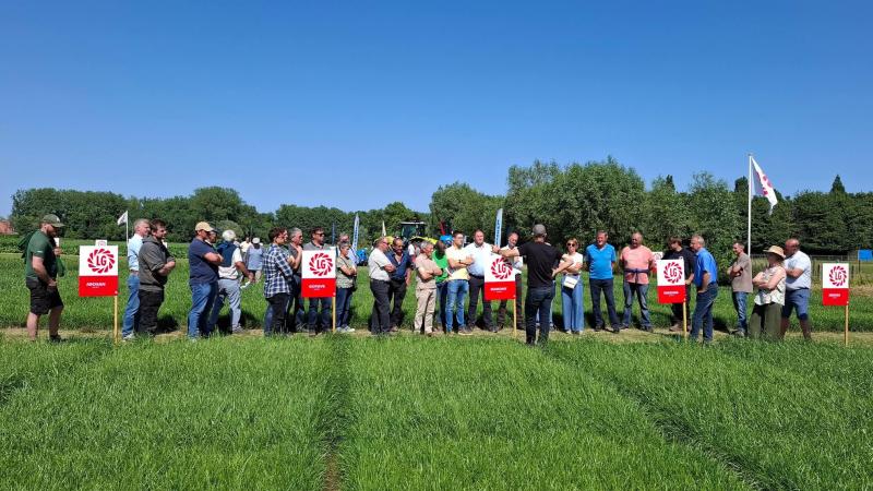 Limagrain wordt omschreven als een coöperatie  van en voor boeren
