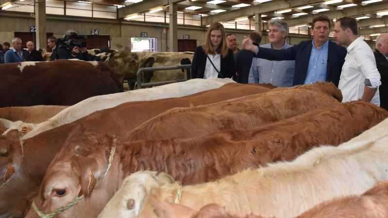 Eurocommissaris Hansen (rechts) stond erop om de veemarkt van Ciney te bezoeken.
