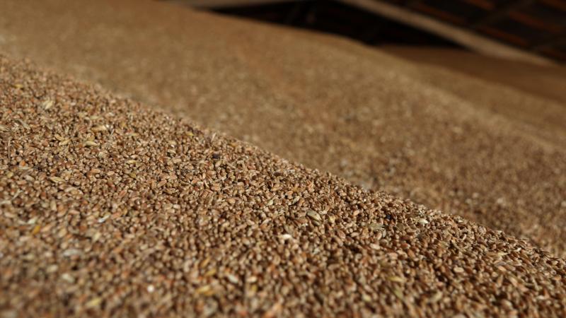 De wereldwijde graanvoorraad maïs en tarwe is 4,45% lager dan een jaar terug en is de laagste in 8 jaar.