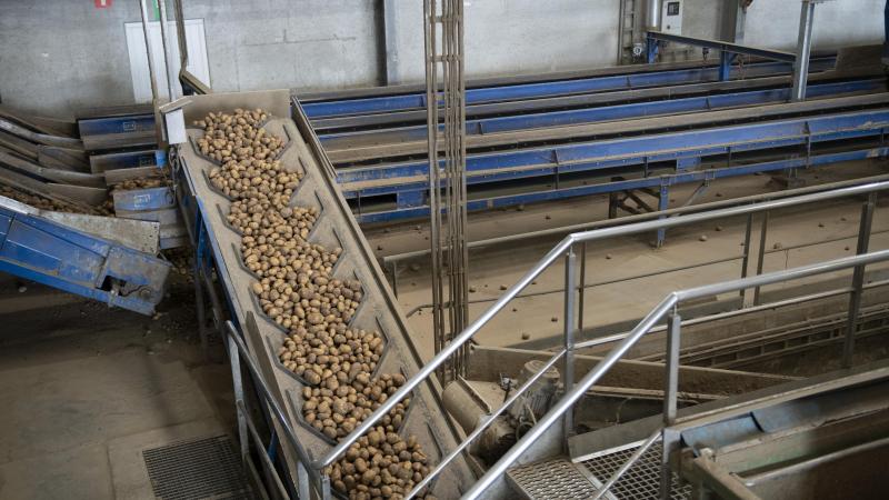Aardappelproducten zijn een van de belangrijkste exportproducten van Vlaanderen.