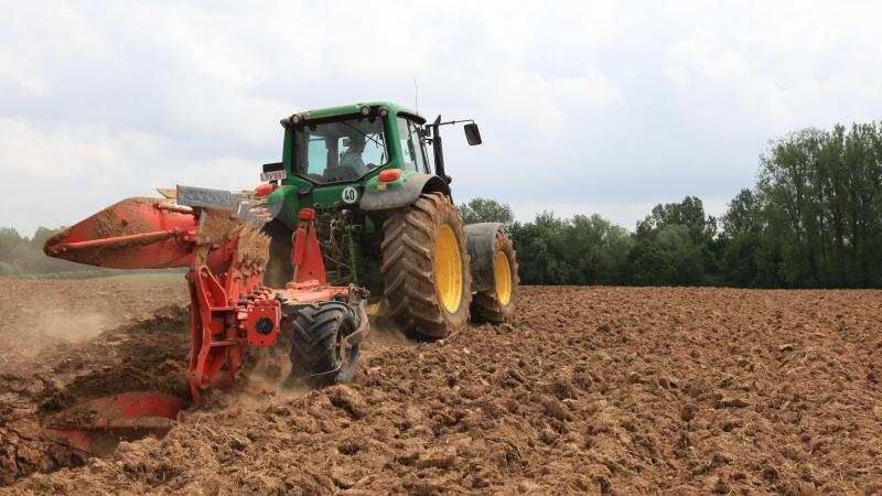 Uit de voorlopige cijfers van de verzamelaanvraag 2025 besluit het Agentschap Landbouw en Zeevisserij dat het areaal granen zich dit jaar herstelt na een moeilijk 2024.