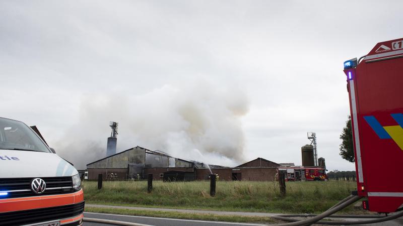 De afgelopen 5 jaar zijn er in Vlaanderen 500.000 dieren slachtoffer geworden van stalbranden, of gemiddeld 100.000  dieren per jaar.