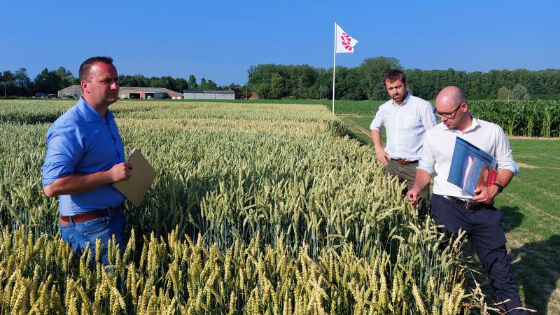 Sander Van Kerckhove, Wannes Dermaut en Thomas Truyen gaven toelichting op het demo-platform van Limagrain.