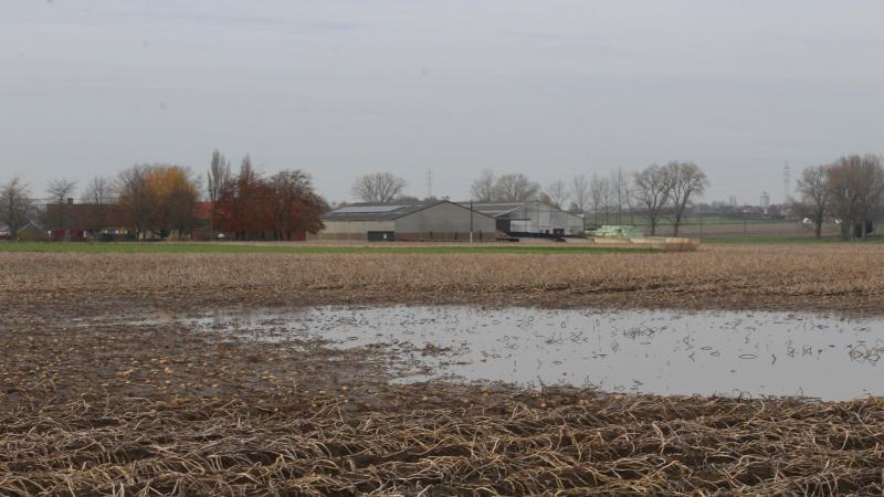 Minister Brouns wil de evaluatie van de brede weersverzekering afwachten. Voor 2 parlementsleden van Open Vld mag de hervorming sneller gaan.