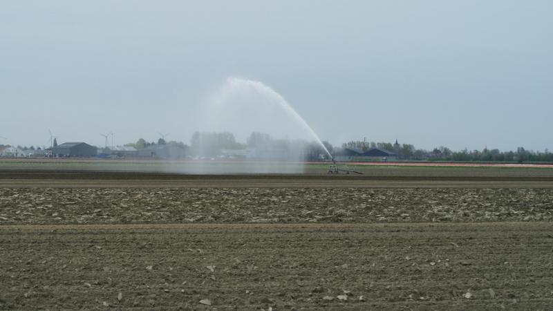 Het blijft droog in de provincie Antwerpen en de voorbije dagen was het ook uitzonderlijk warm.